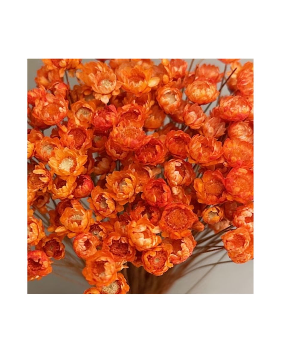 Flores Diamantina Ramo 100/150 Un. Naranja