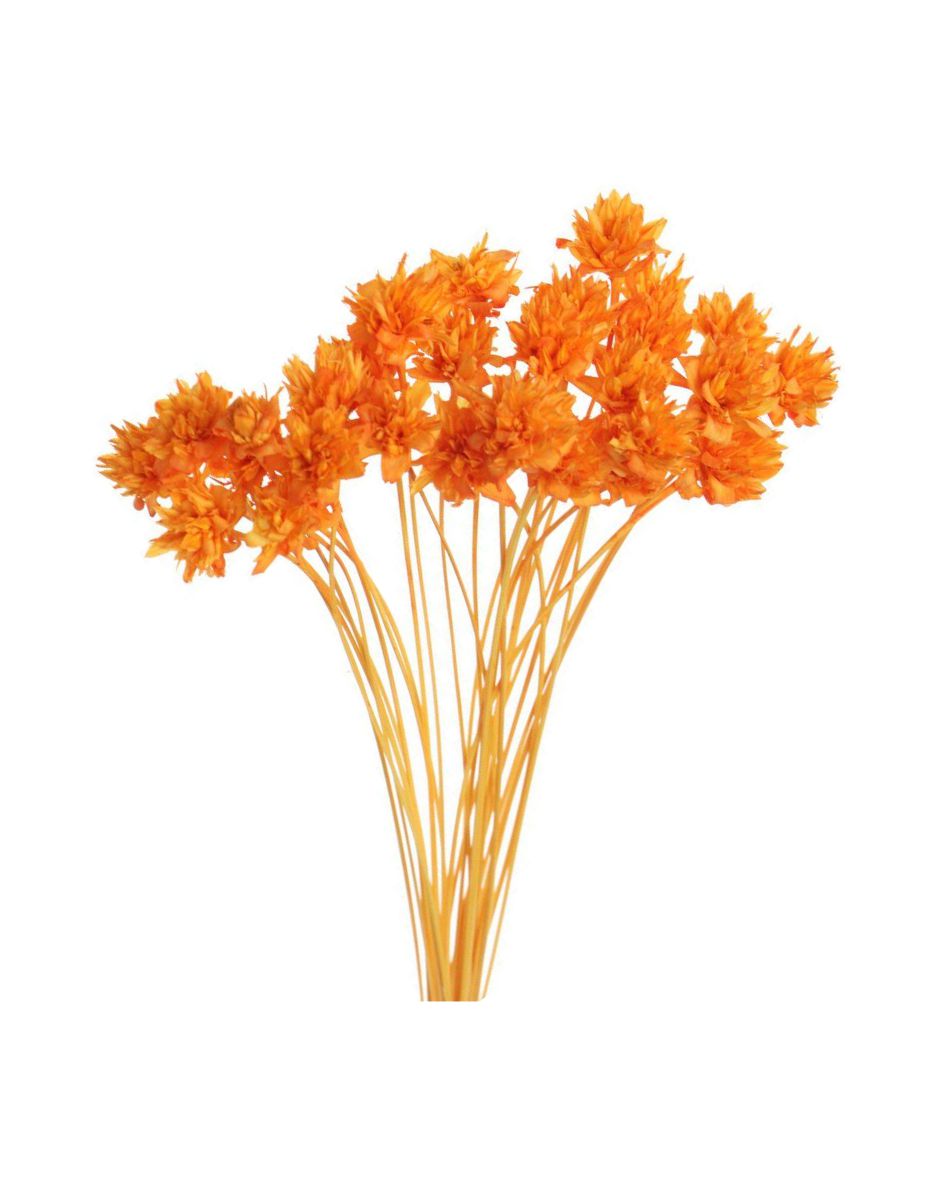 Flores Diamantina Ramo 100/150 Un. Naranja