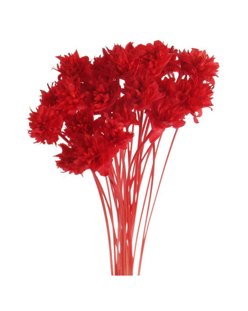 Flores Diamantina Ramo 100/150 Un. Rojo