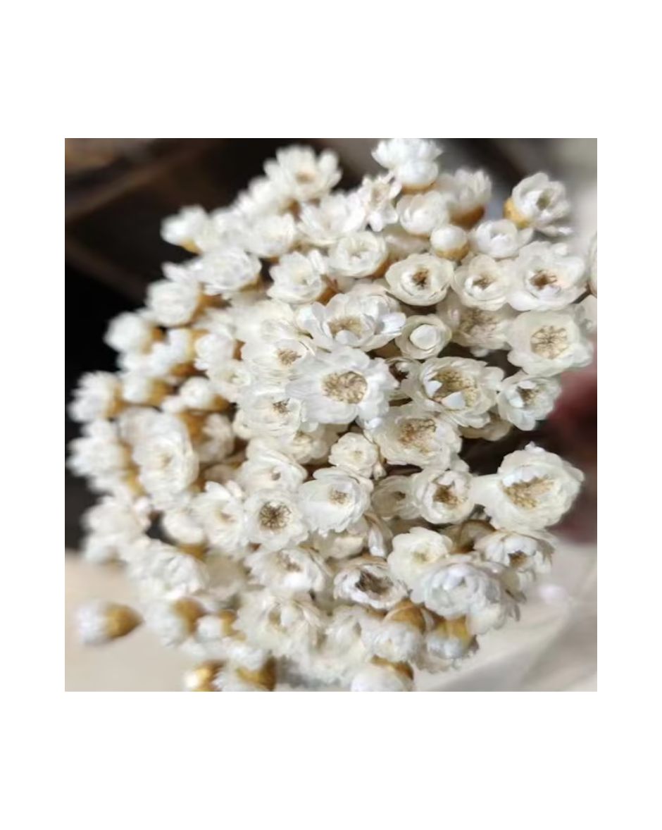 Flores Diamantina Ramo 100/150 Un. Blanco