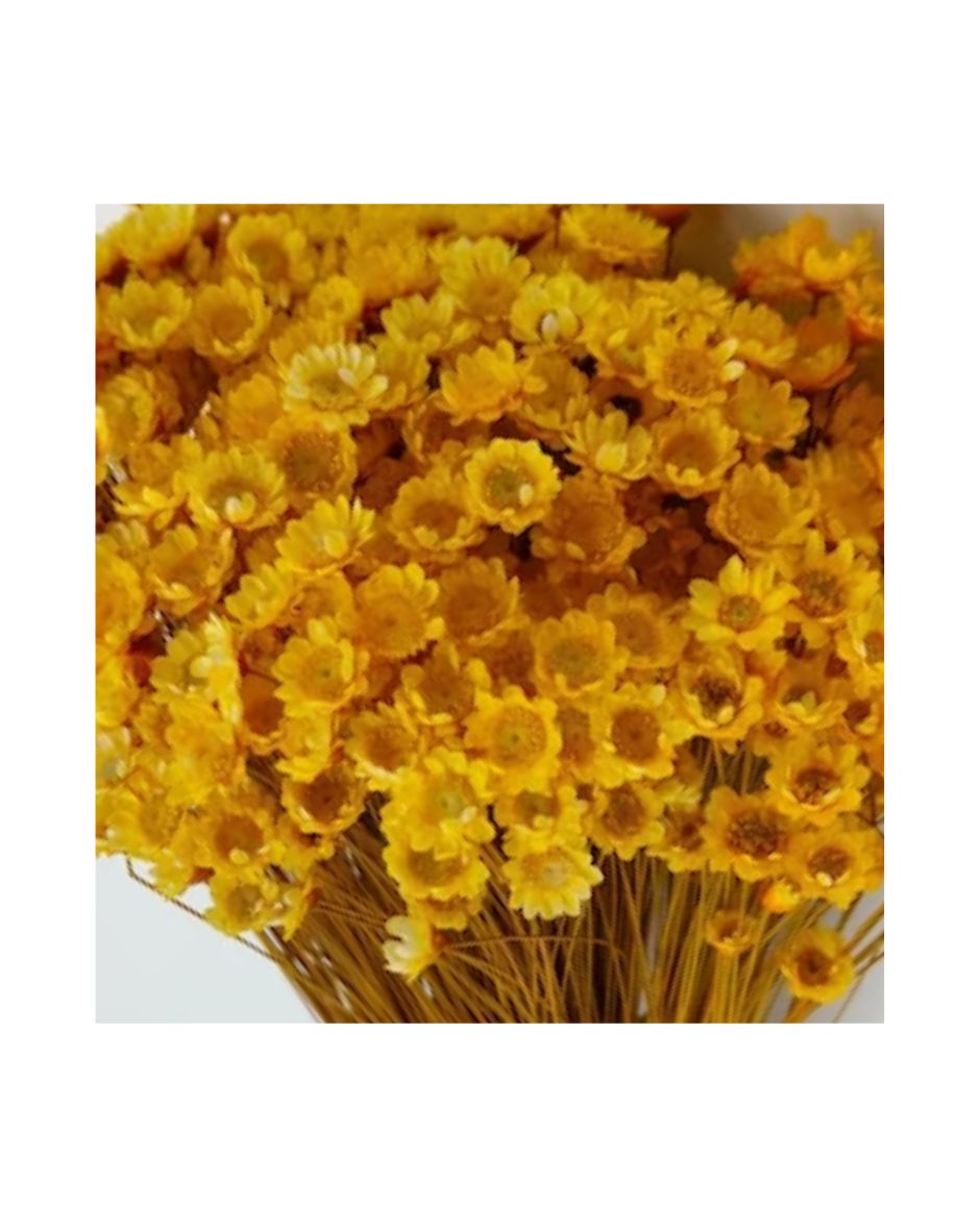 Flores Diamantina Ramo 100/150 Un. Amarillo Oro