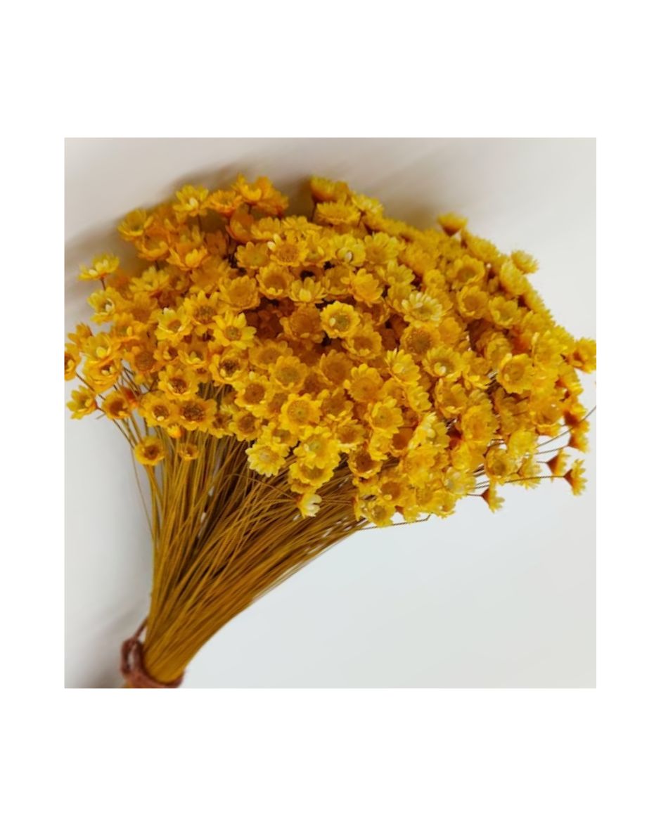Flores Diamantina Ramo 100/150 Un. Amarillo Oro
