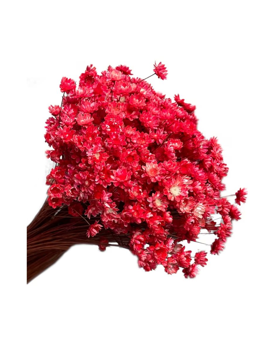 Flores Diamantina Ramo 100/150 Un. Rojo Claro
